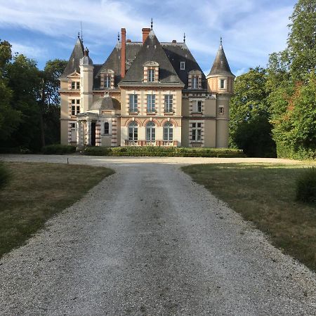 Chateau De Praslins Nogent-sur-Vernisson Экстерьер фото
