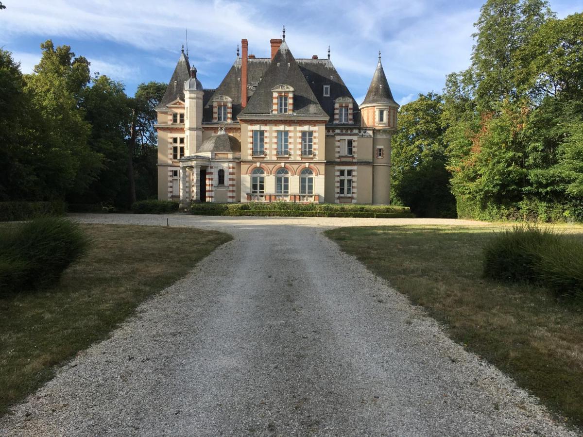 Chateau De Praslins Nogent-sur-Vernisson Экстерьер фото