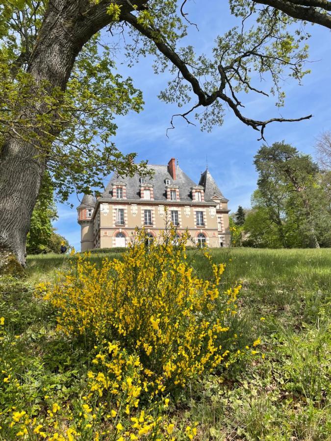 Bed and Breakfast Chateau De Praslins Nogent-sur-Vernisson Экстерьер фото