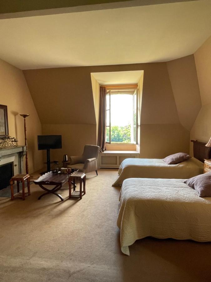 Chateau De Praslins Nogent-sur-Vernisson Экстерьер фото