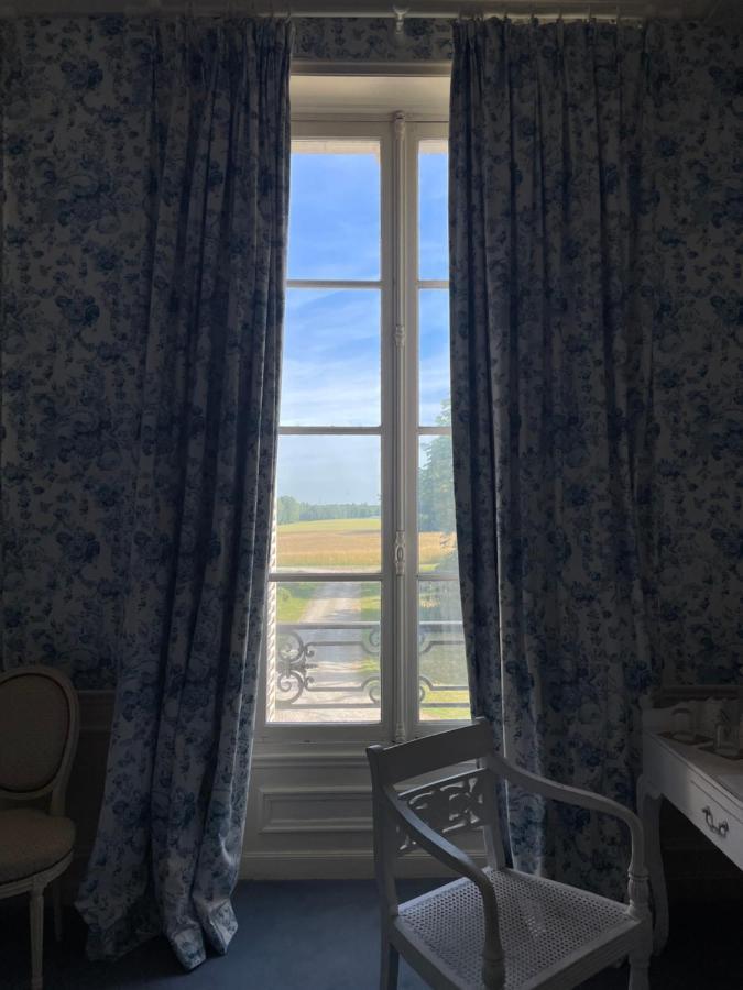 Chateau De Praslins Nogent-sur-Vernisson Экстерьер фото